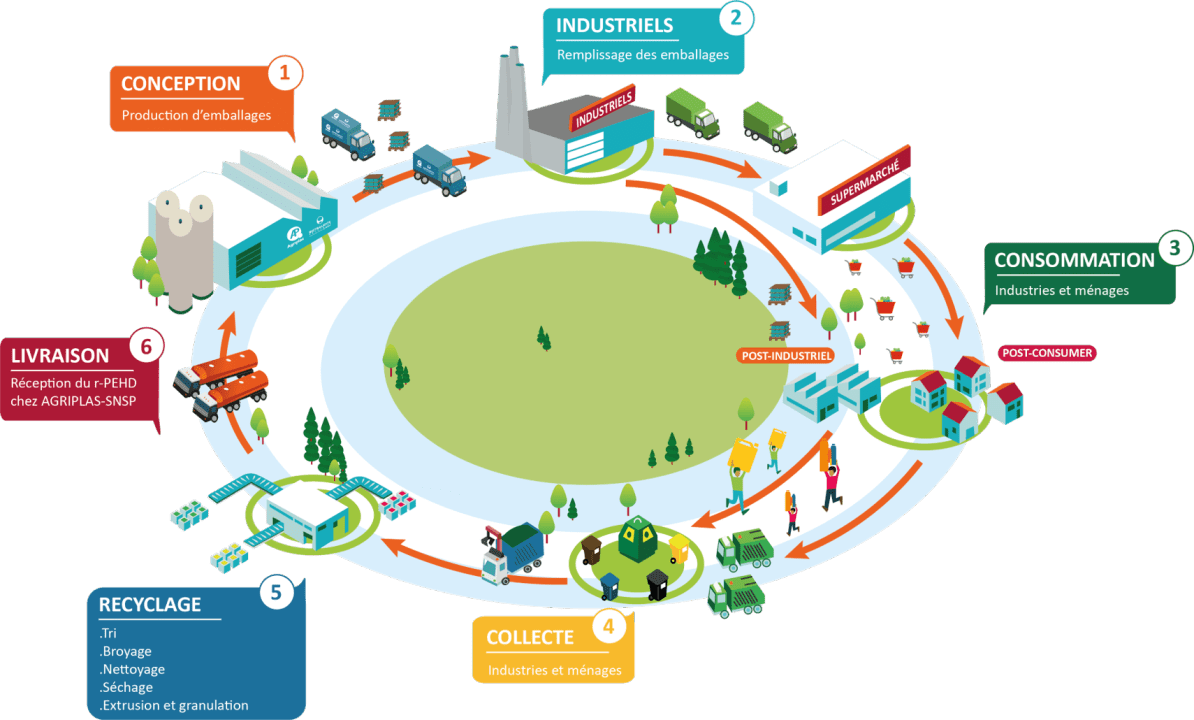 Schéma de l'économie circulaire chez Agriplas